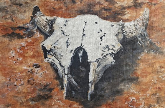 "Washichu" - Landscape - Buffalo - Skull