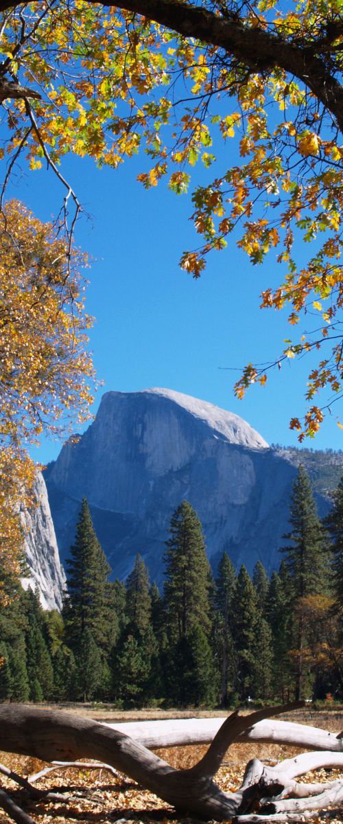 Half Dome in Yosemite by Alex Cassels