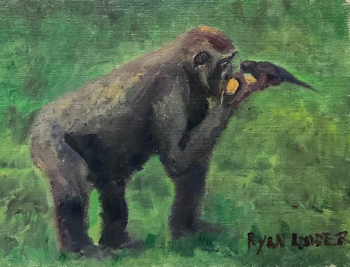 Gorilla Feeding Bird by Ryan  Louder
