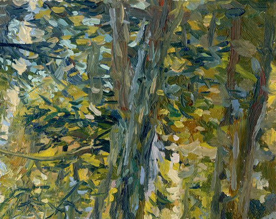 September. Forest. Surroundings of Ilyinki