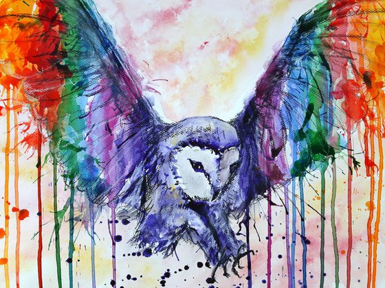 "Rainbow owl"