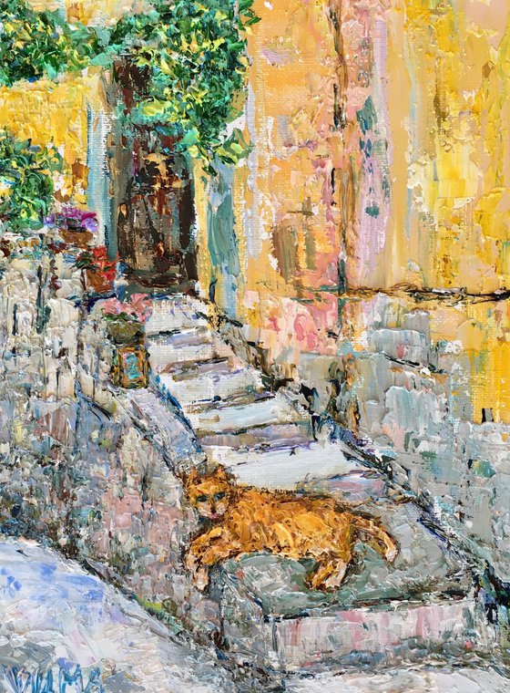 Orange Cat