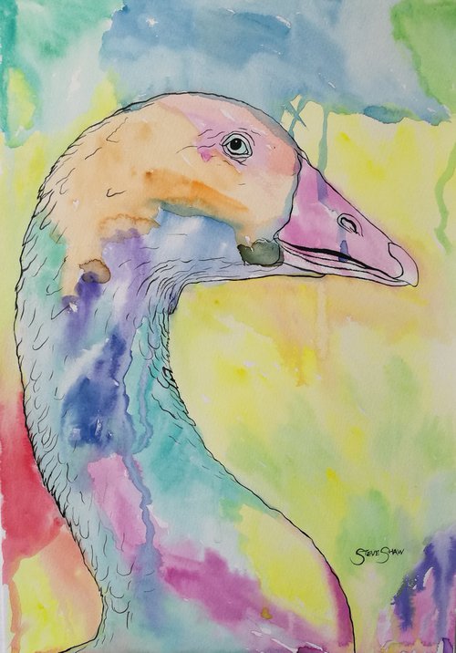 I'm the Prettiest Goose. Free Shipping. Watercolour Birds. 29.7cm x 42cm by Steven Shaw