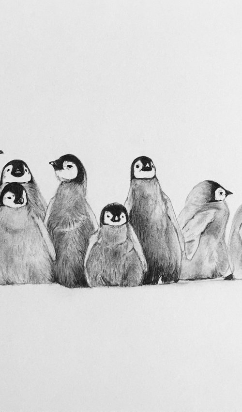 Penguin chicks in a line by Amelia Taylor