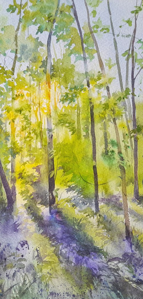 Bluebells at Oldmoor Wood II by Anjana Cawdell
