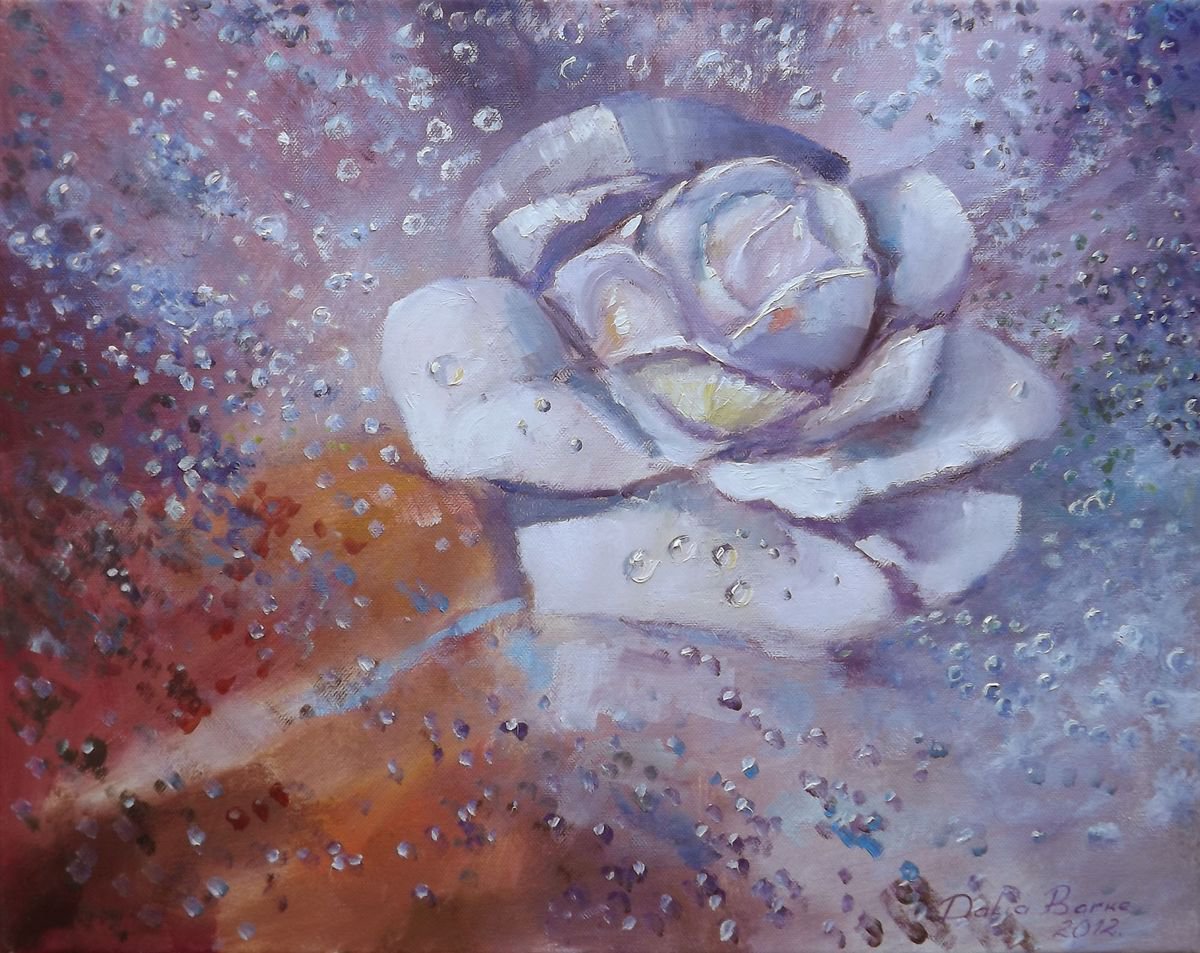 Rain Melody (Rose) by Dalia Barke