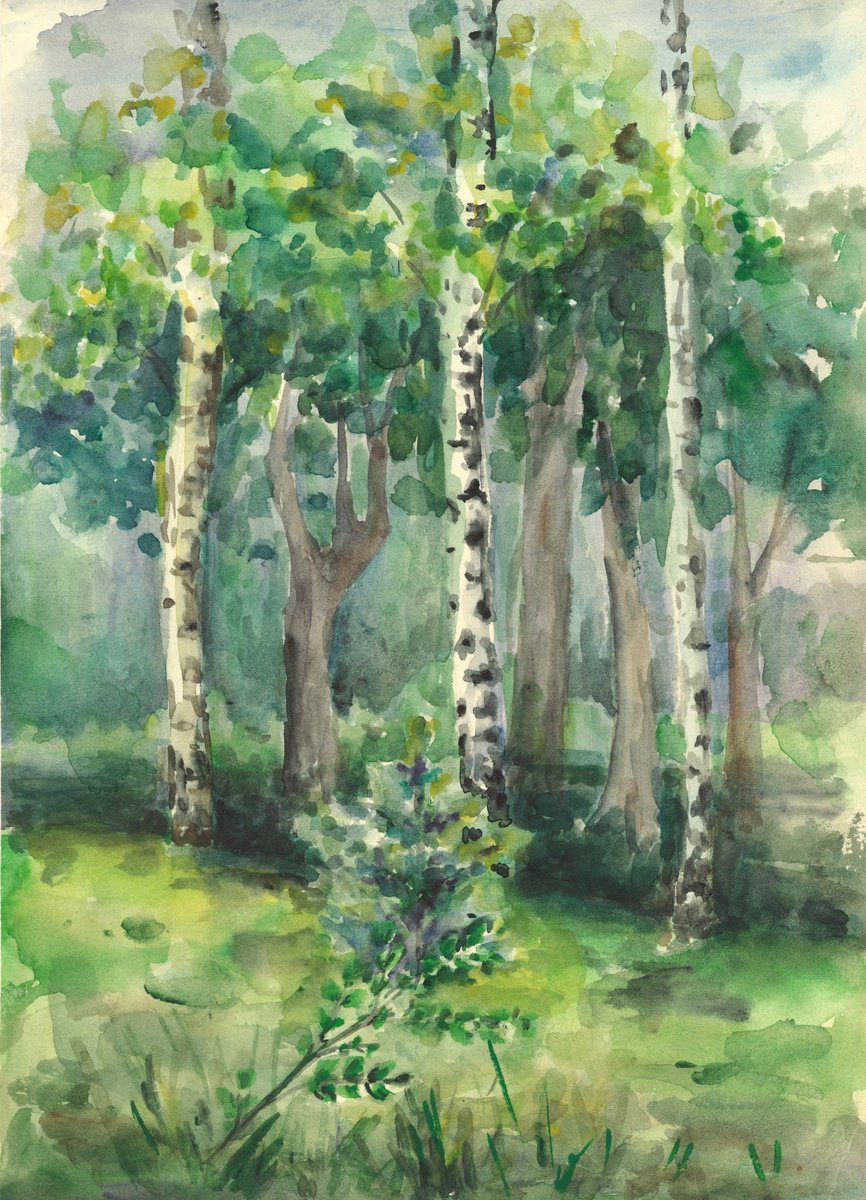 Birch meadow 2 by Natasha Sokolnikova