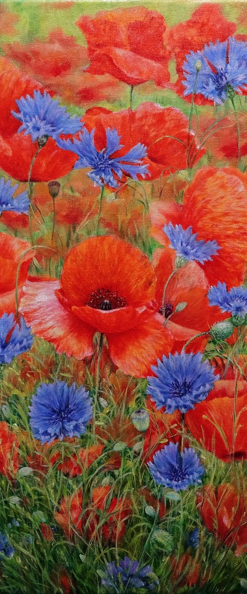 Poppies with Cornflowers. by Anastasia Woron