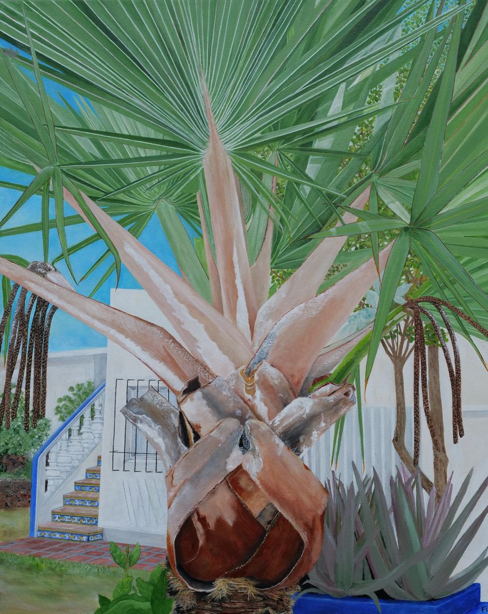 Caribbean Fan By Steven Fleit, 24 X 30, Artwork For Sale On Artfinder