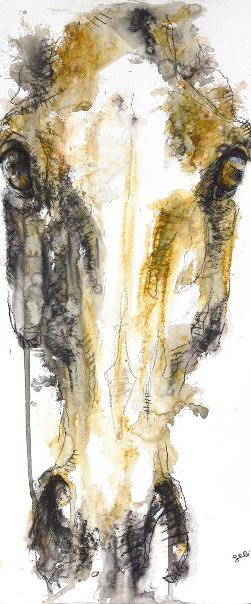 Face to Face 24t by Benedicte Gele