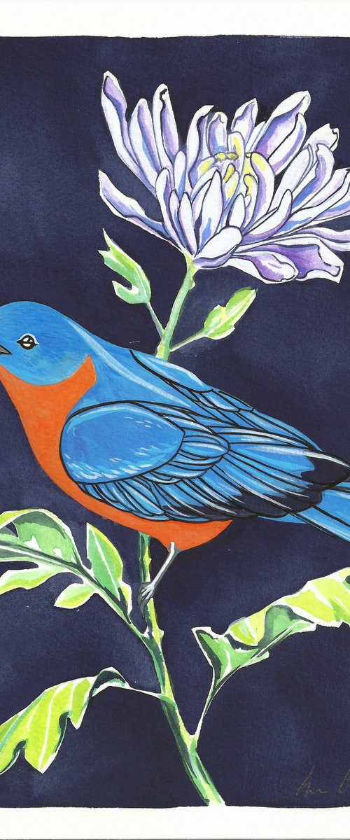 Bluebird and Chrysanthemum by Fran Giffard