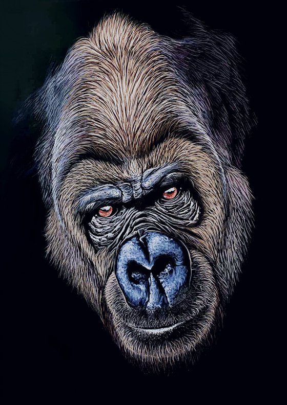 Gorilla - 70 x 50 cm , Ready to Hang / hyperrealism / photorealism / wild life/ animalism