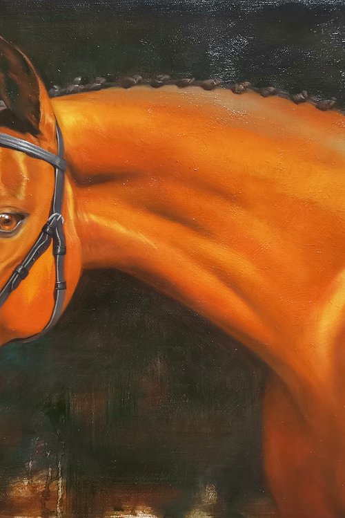 Oil painting animal horse artwork-look you by Hongtao Huang