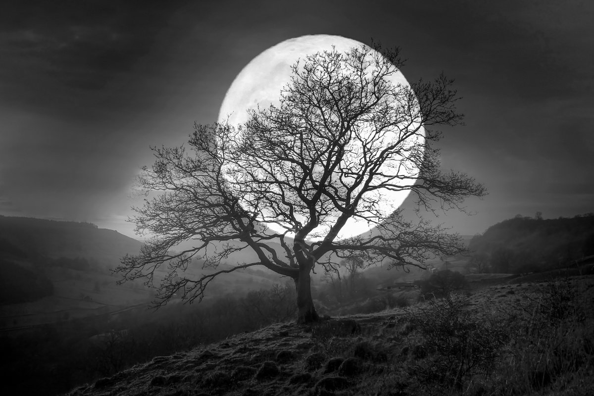 HARVEST MOON...Limited Edition Photo Made in California by Harv Greenberg