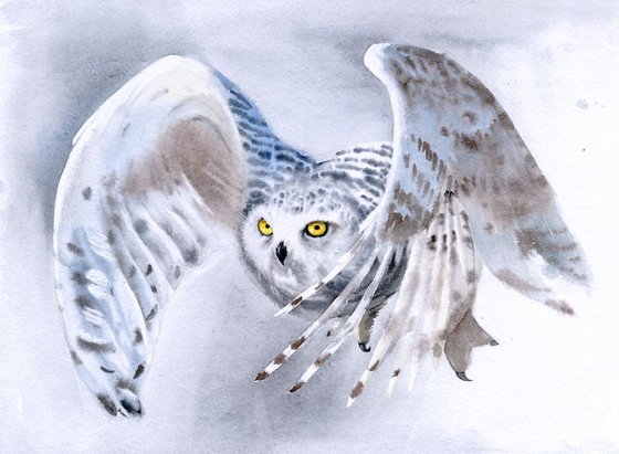 Flying Snowy Owl