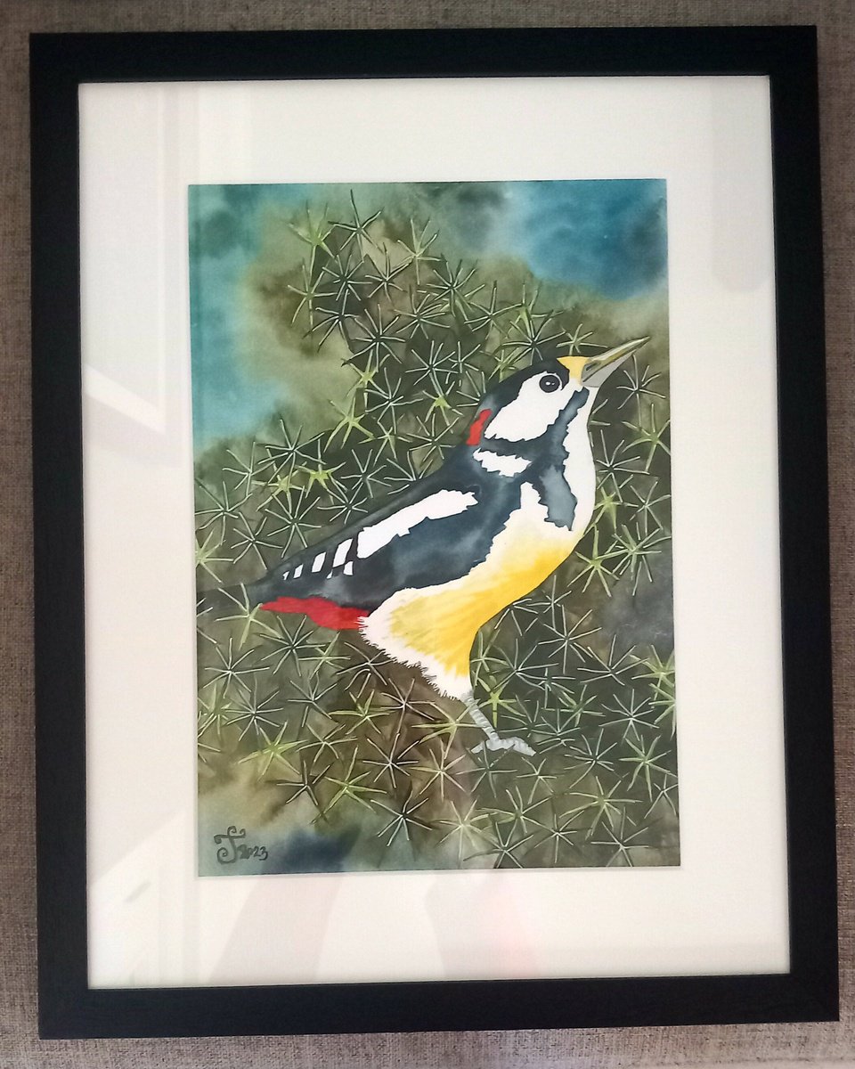 Illustrative Animal Watercolour By Terri Smith, 12 X 16", Spotted Woodpecker, Original Artwork