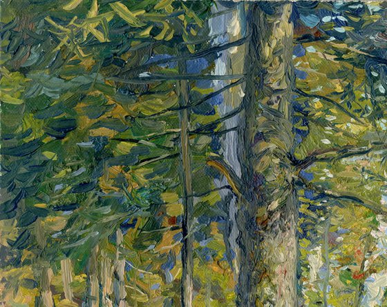 September. Forest. Surroundings of Ilyinki