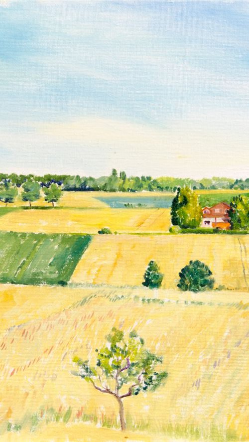 The summer field near SI Centrum by Daria Galinski