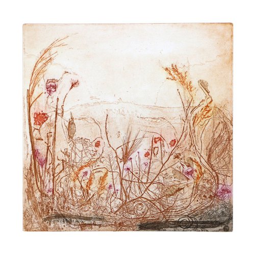 Heike Roesel "Summer Garden 1", fine art etching in variation, edition of 10 by Heike Roesel