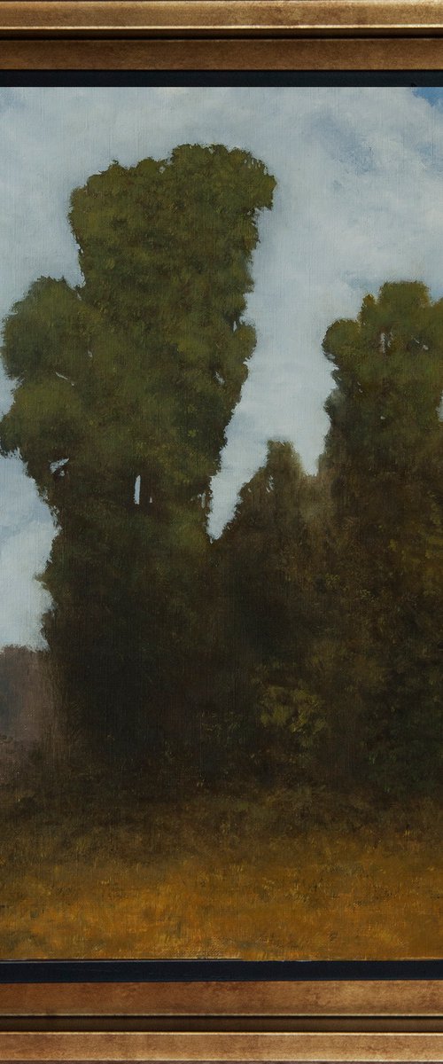The art of seeing by Przemek Kręt