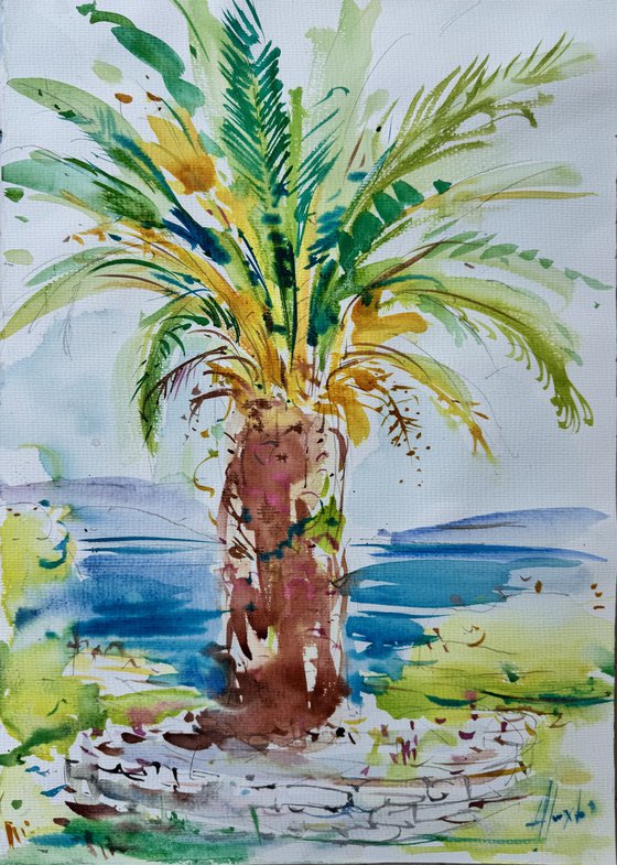 Mediterranean summertime