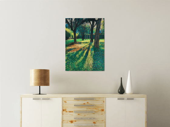 Sunlit grove