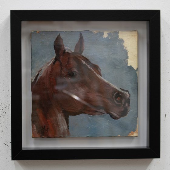 Equine Head Arab Chestnut (study 90)