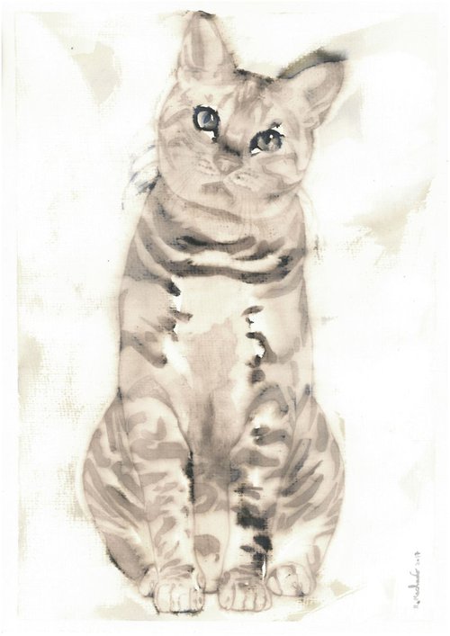 Cat | Animal Painting by Ricardo Machado