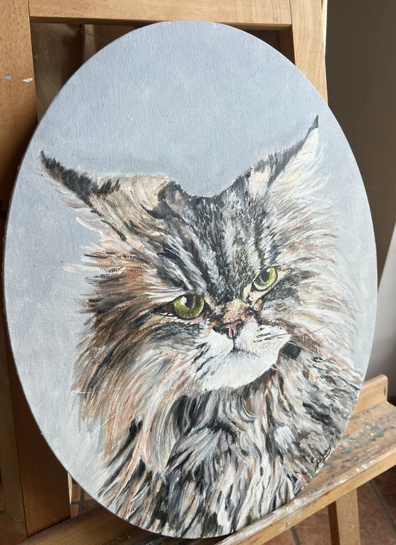 Cat