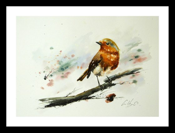 The Robin. Original watercolour painting.