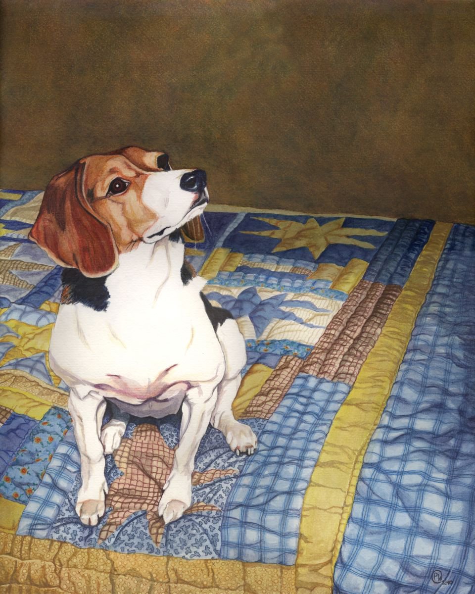 Beagle on a Patchwork Quilt by Paige Wallis