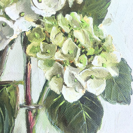 White hydrangea flower