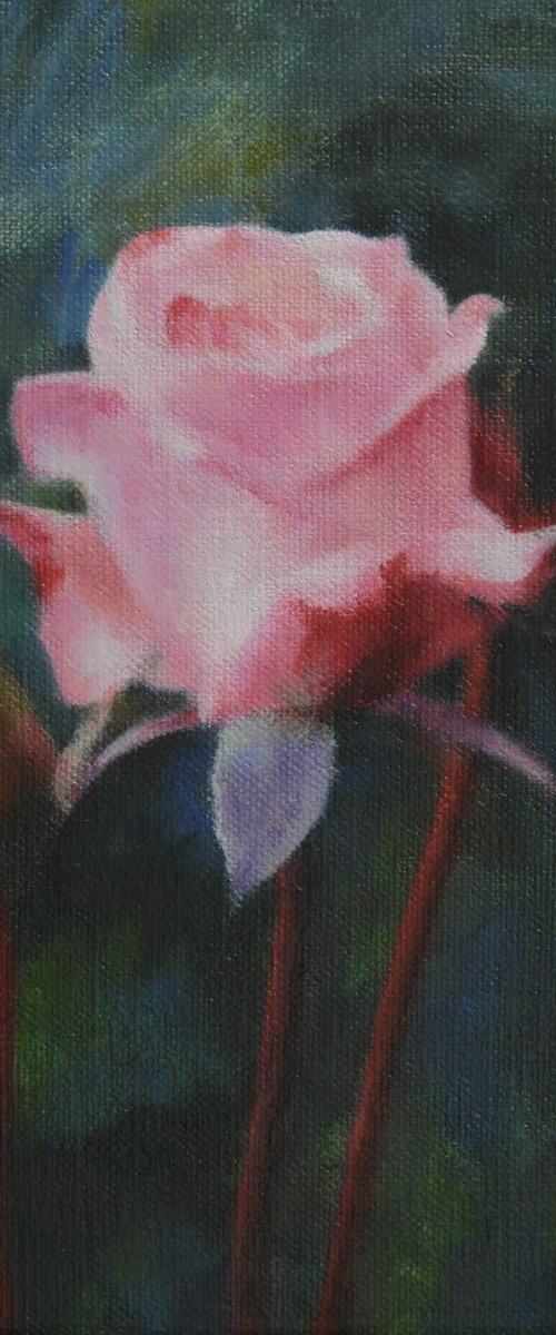 Rose and the Stream of Time by KAZUHIKO