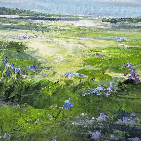 A Quiet Place to Wander