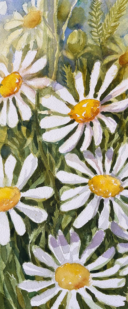 Daisy Dance by Arti Chauhan