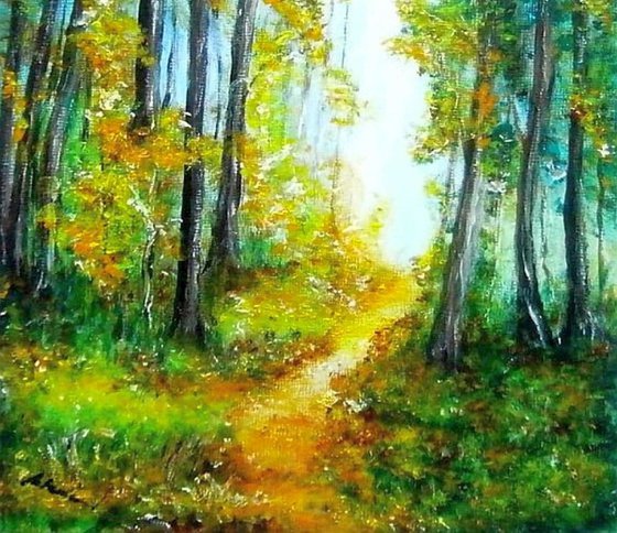 Forest path..