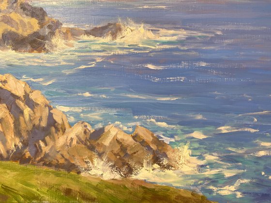 California Coast Landscape