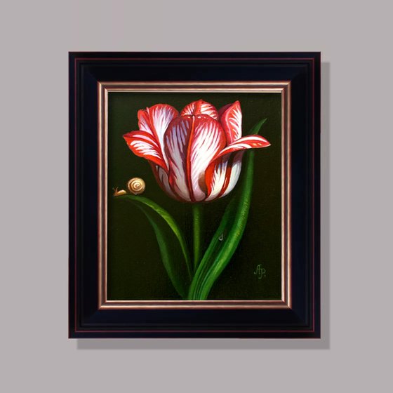 Tulip and snail
