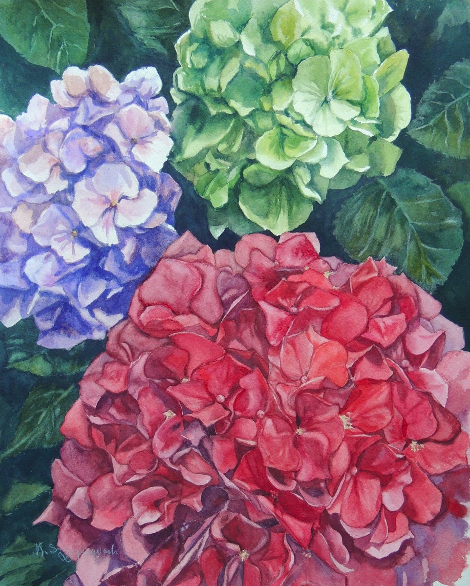 The colourful trio by Krystyna Szczepanowski
