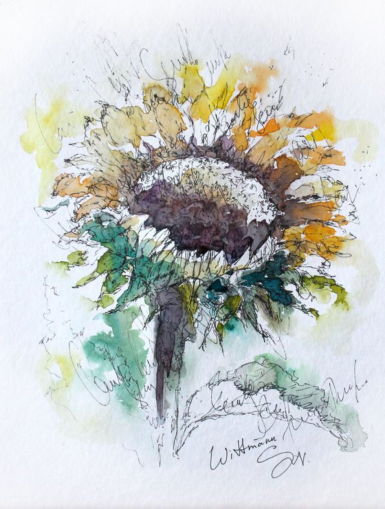 Sunflower