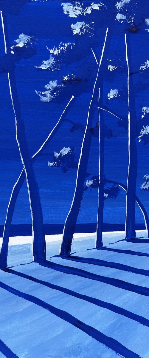 Ultramarine Cap Coz by Cadiou Frederic