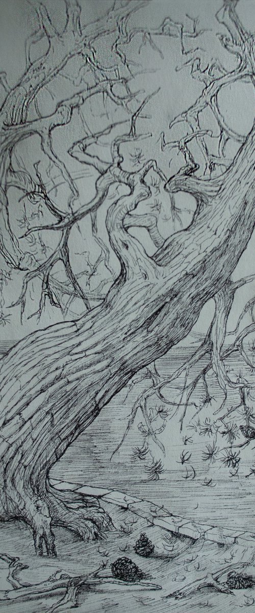 Two Bent Pines by Nikola Ivanovic