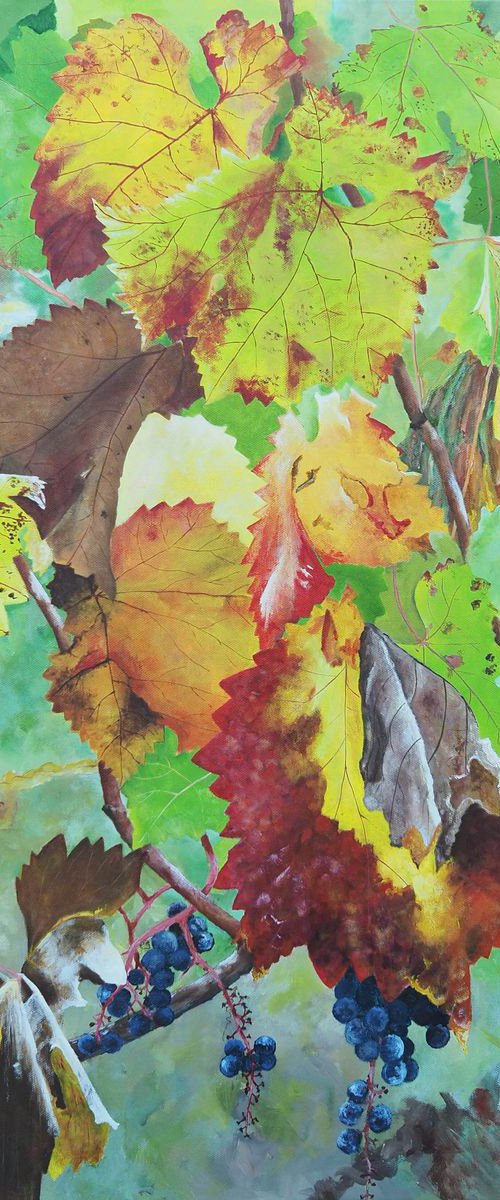 Bordeaux Vineyard 5 by Steven Fleit