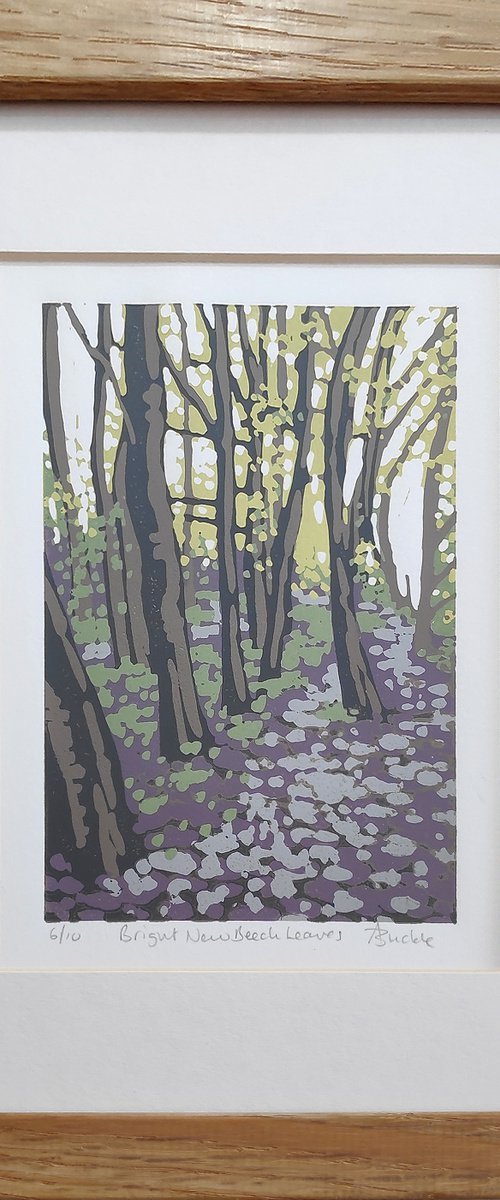 Bright New Beech Leaves, framed by Alexandra Buckle