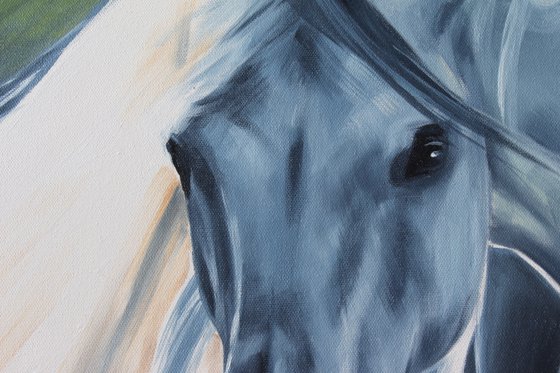 Ice fresh horse