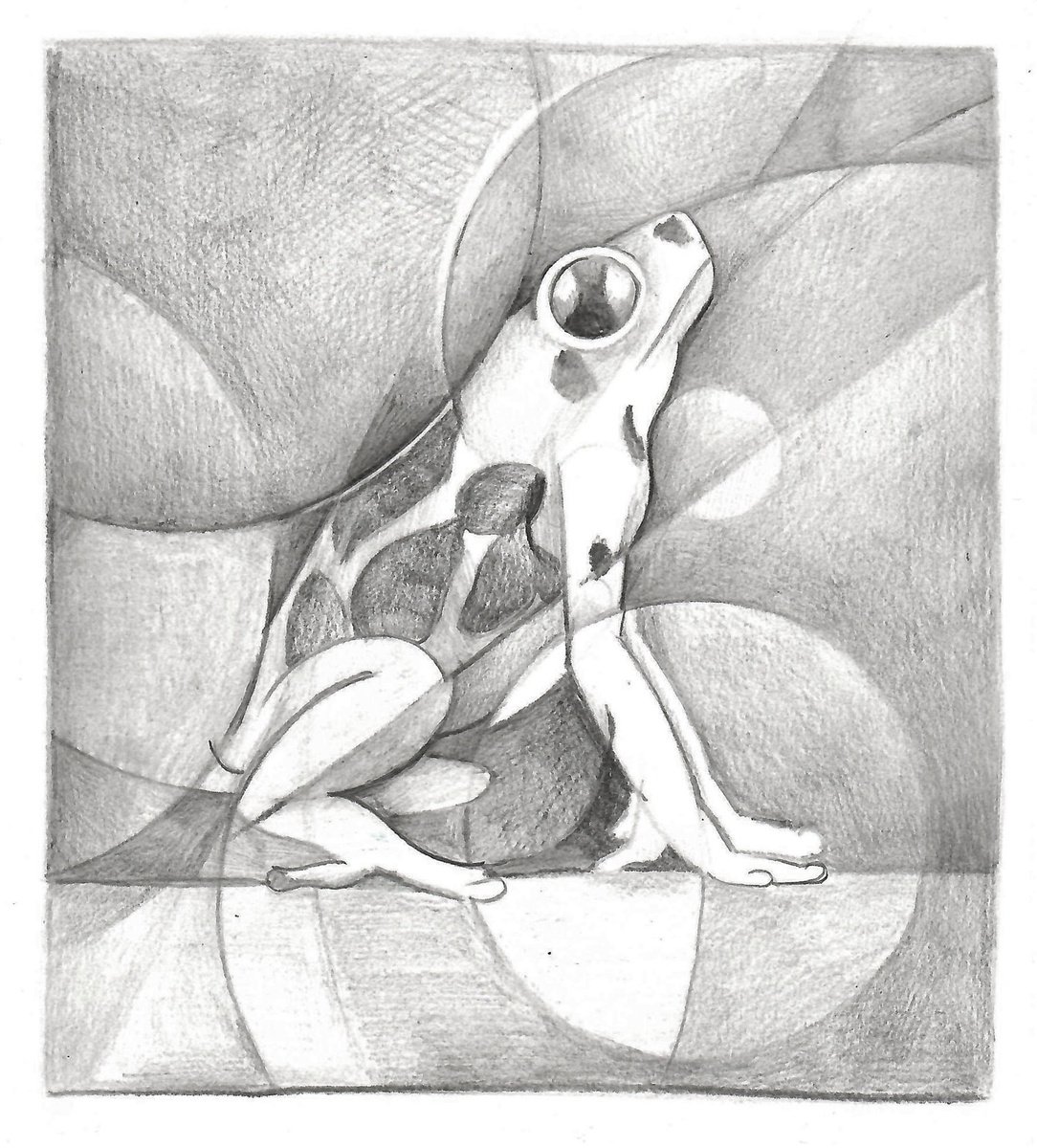 Dynamic study of a little frog by Martin Cambriglia