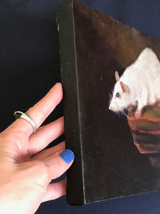 White Rat Animals collection