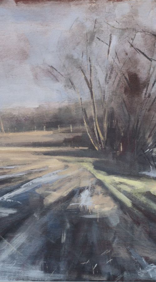 Hint of spring, local image Buxton. by Tom Cringle