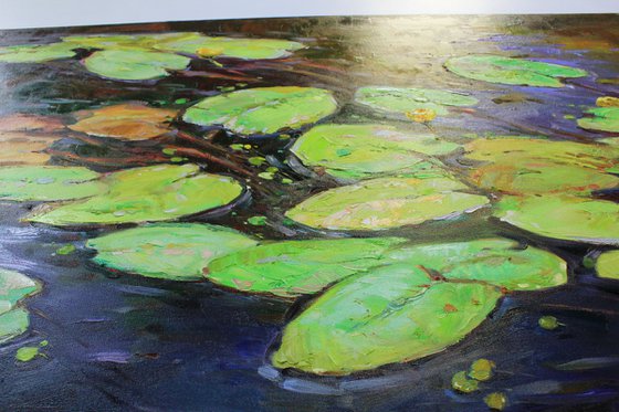 "Water lilies"