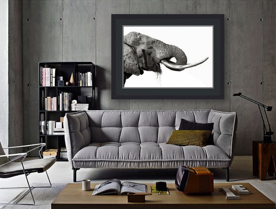 "Majestic" -  Elephant